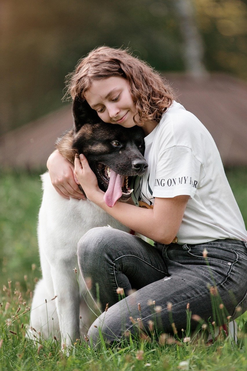 dog, girl, love, pet, nature, owner, companion, friends, friendship, happy, animal, akita, portrait, pet owner